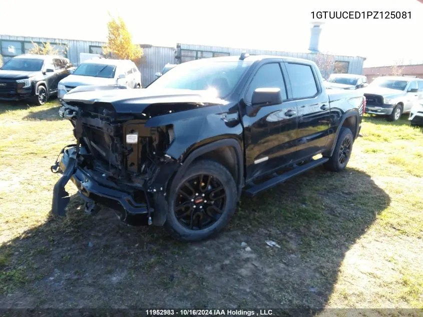 1GTUUCED1PZ125081 2023 GMC Sierra 1500