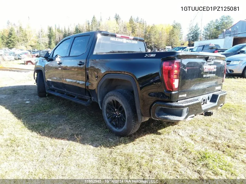 2023 GMC Sierra 1500 VIN: 1GTUUCED1PZ125081 Lot: 11952983