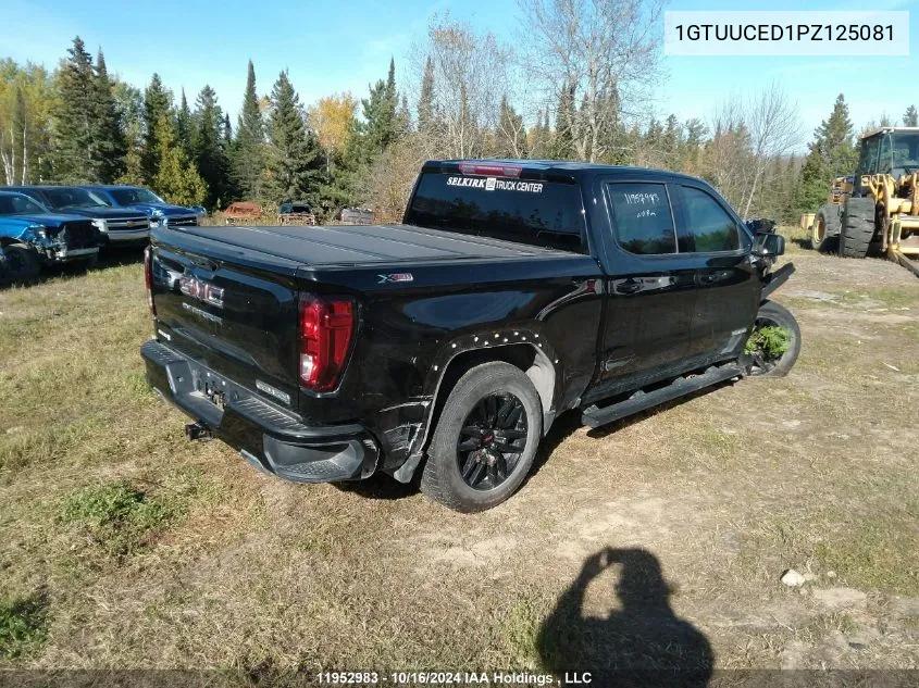 2023 GMC Sierra 1500 VIN: 1GTUUCED1PZ125081 Lot: 11952983