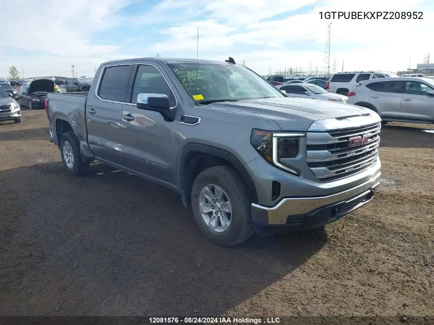 2023 GMC Sierra 1500 VIN: 1GTPUBEKXPZ208952 Lot: 12081576