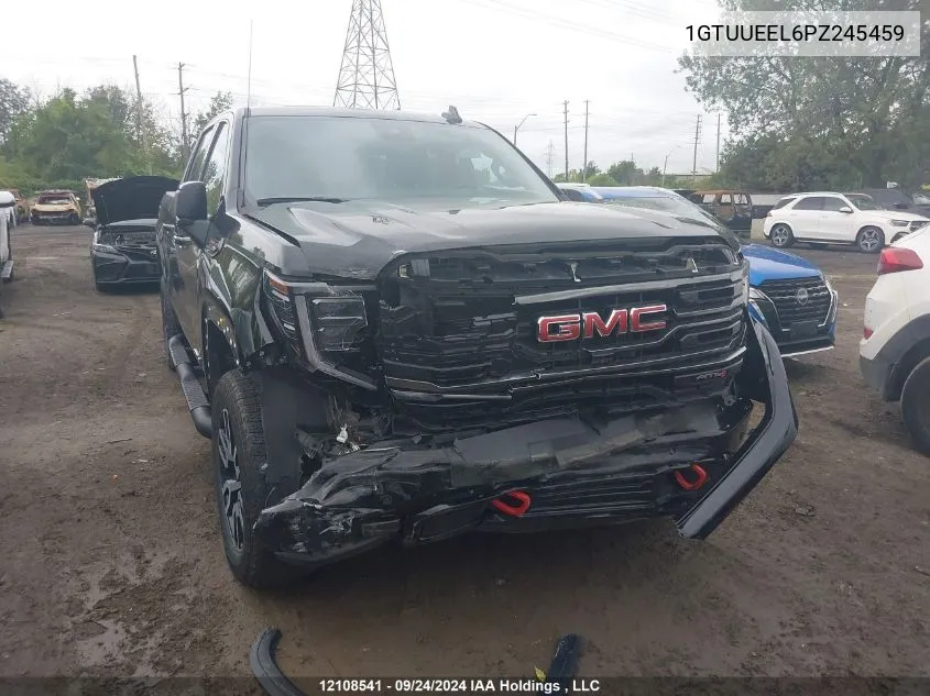 2023 GMC Sierra 1500 VIN: 1GTUUEEL6PZ245459 Lot: 12108541