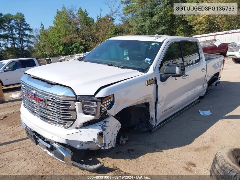 2023 GMC Sierra 1500 VIN: 3GTUUGED3PG135733 Lot: 40391005