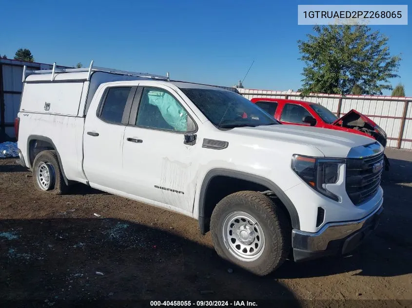 2023 GMC Sierra K1500 VIN: 1GTRUAED2PZ268065 Lot: 40458055