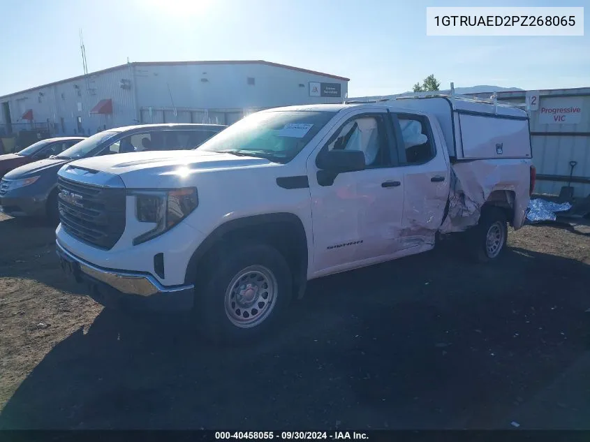 2023 GMC Sierra K1500 VIN: 1GTRUAED2PZ268065 Lot: 40458055