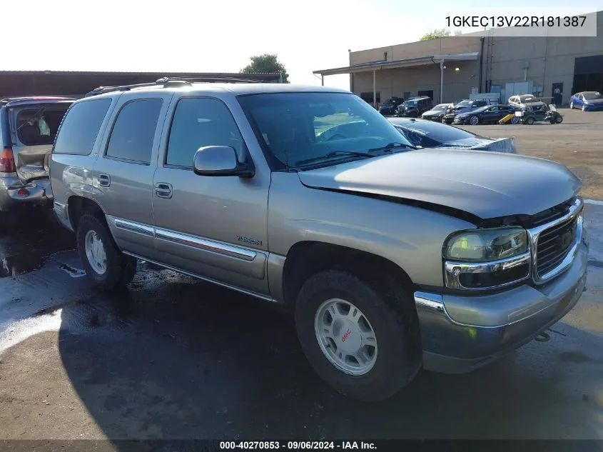 2002 GMC Yukon Sle VIN: 1GKEC13V22R181387 Lot: 40270853