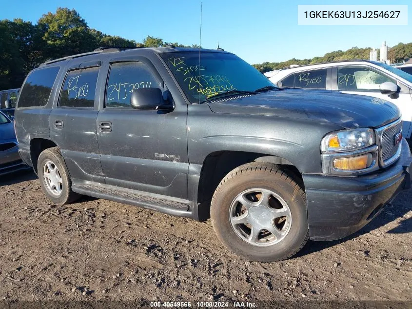 2003 GMC Yukon Denali VIN: 1GKEK63U13J254627 Lot: 40549566