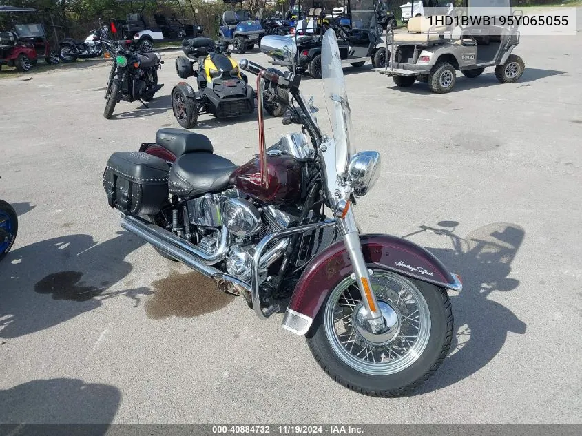 2005 Harley-Davidson Flstci VIN: 1HD1BWB195Y065055 Lot: 40884732