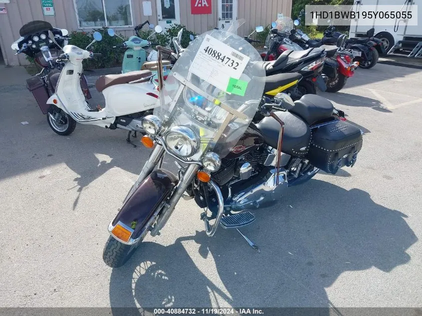 2005 Harley-Davidson Flstci VIN: 1HD1BWB195Y065055 Lot: 40884732