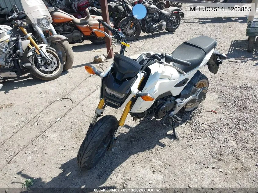 2020 Honda Grom 125 VIN: MLHJC7514L5203855 Lot: 40390407