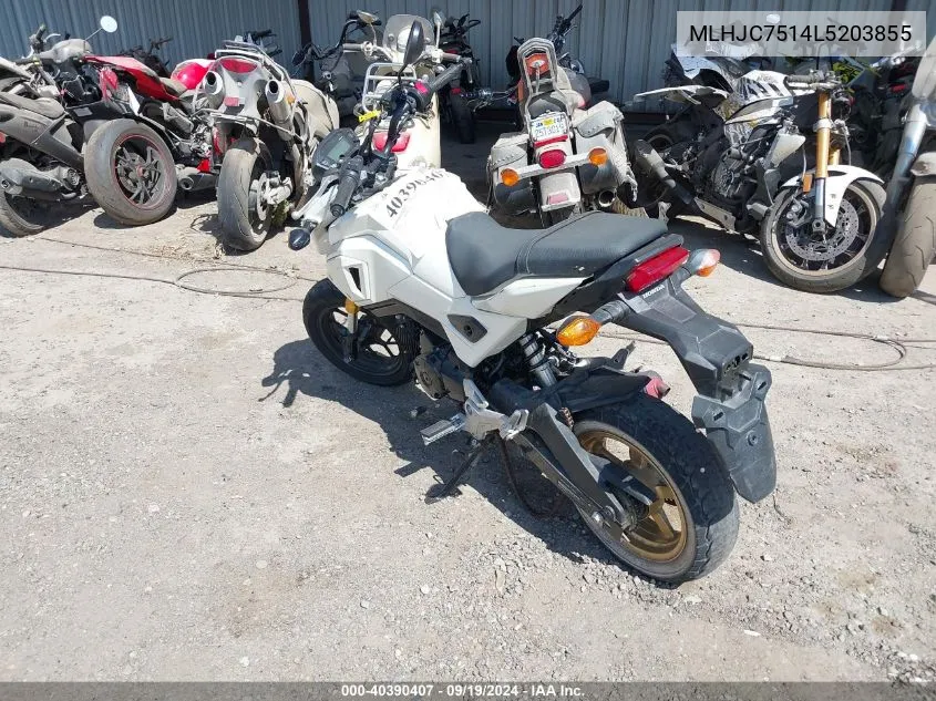 2020 Honda Grom 125 VIN: MLHJC7514L5203855 Lot: 40390407