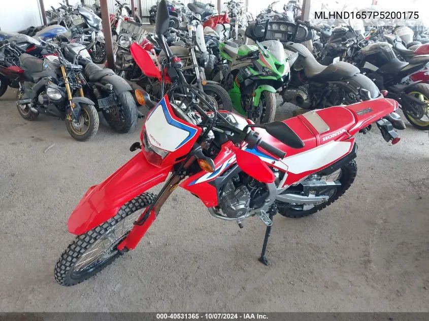 2023 Honda Crf300 La VIN: MLHND1657P5200175 Lot: 40531365