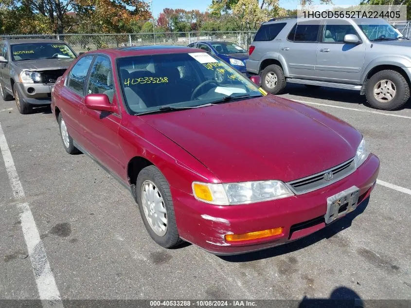 1996 Honda Accord Ex/Ex-R VIN: 1HGCD5652TA224405 Lot: 40533288