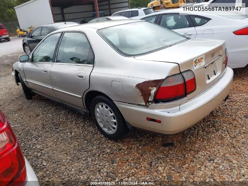 1996 Honda Accord Ex VIN: 1HGCD5568TA181747 Lot: 40759525