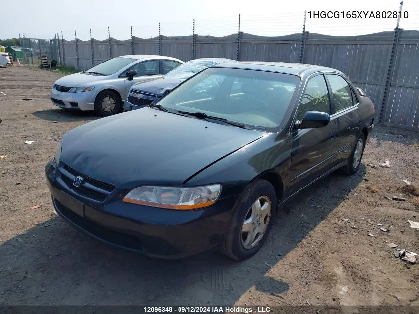 2000 Honda Accord Sdn VIN: 1HGCG165XYA802810 Lot: 12096348