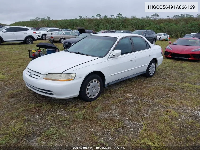 2001 Honda Accord Lx VIN: 1HGCG56491A066169 Lot: 40506714