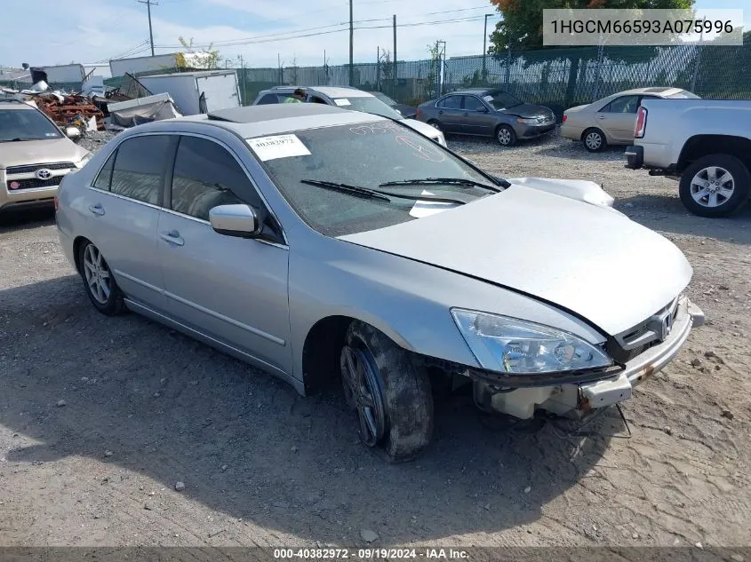 2003 Honda Accord 3.0 Ex VIN: 1HGCM66593A075996 Lot: 40382972