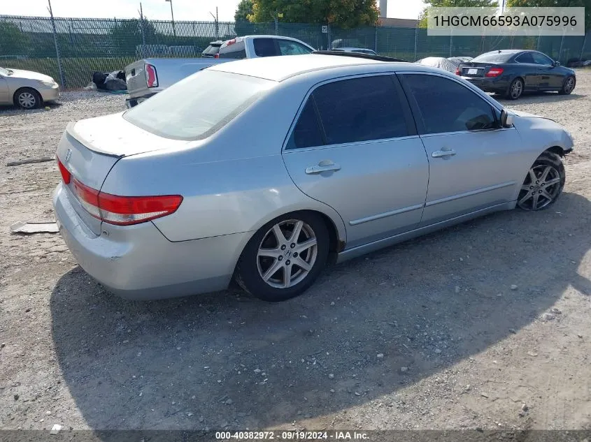 2003 Honda Accord 3.0 Ex VIN: 1HGCM66593A075996 Lot: 40382972