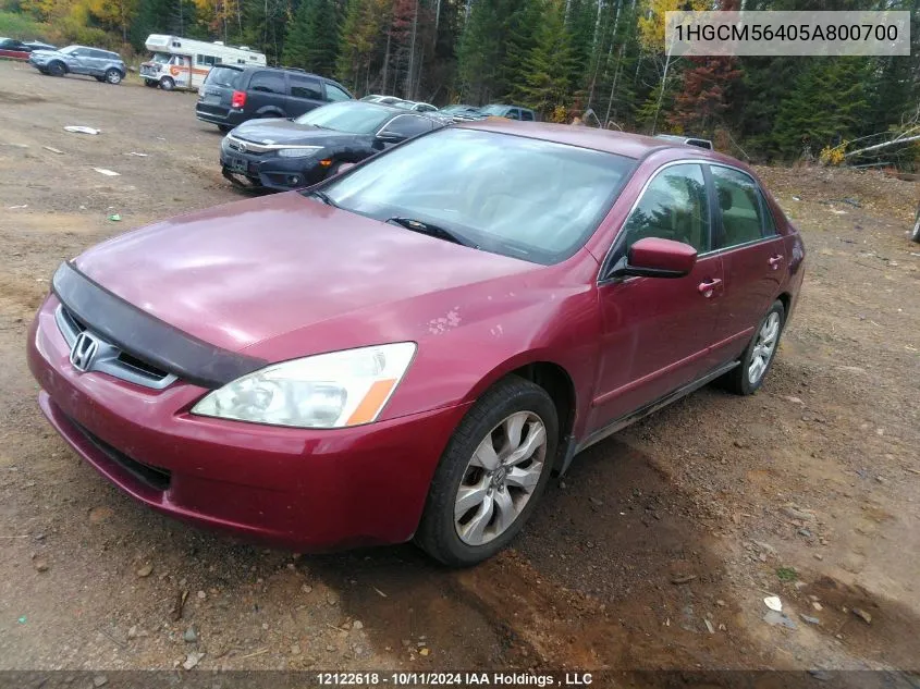 2005 Honda Accord VIN: 1HGCM56405A800700 Lot: 12122618