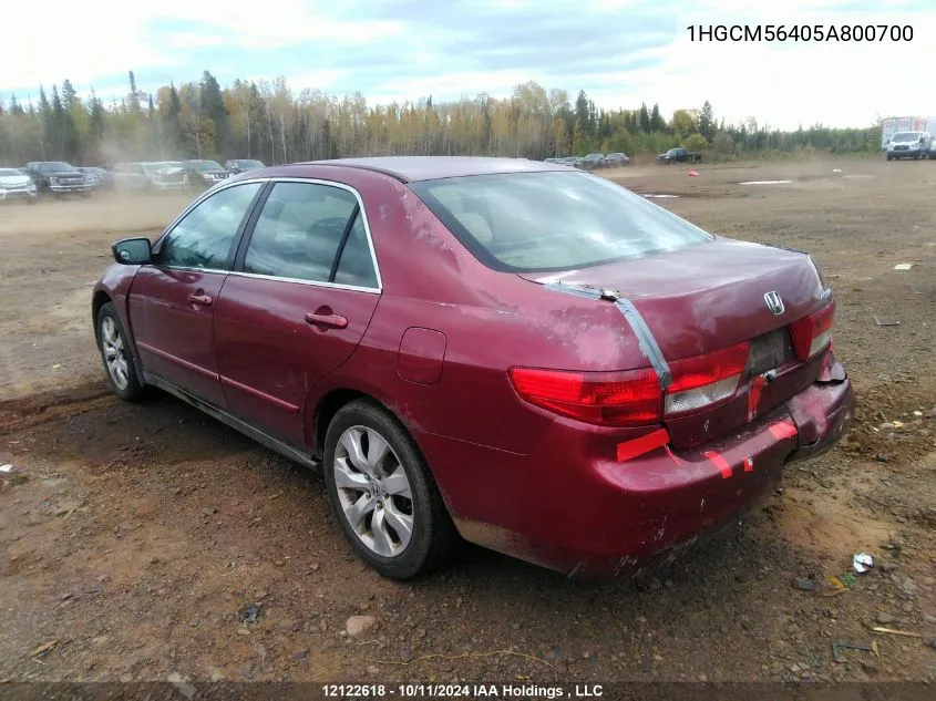 2005 Honda Accord VIN: 1HGCM56405A800700 Lot: 12122618