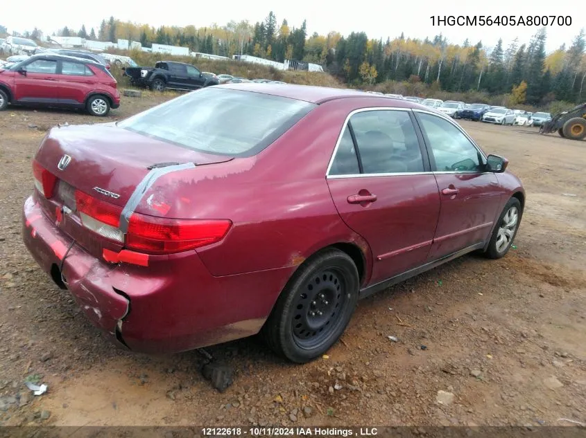 2005 Honda Accord VIN: 1HGCM56405A800700 Lot: 12122618