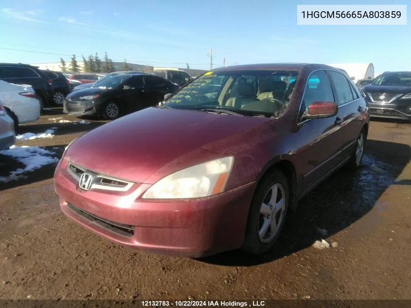 2005 Honda Accord Sdn VIN: 1HGCM56665A803859 Lot: 12132783