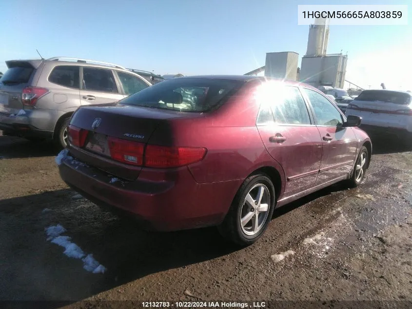 2005 Honda Accord Sdn VIN: 1HGCM56665A803859 Lot: 12132783