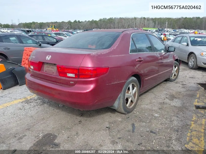 2005 Honda Accord 2.4 Ex VIN: 1HGCM56775A020462 Lot: 38868257