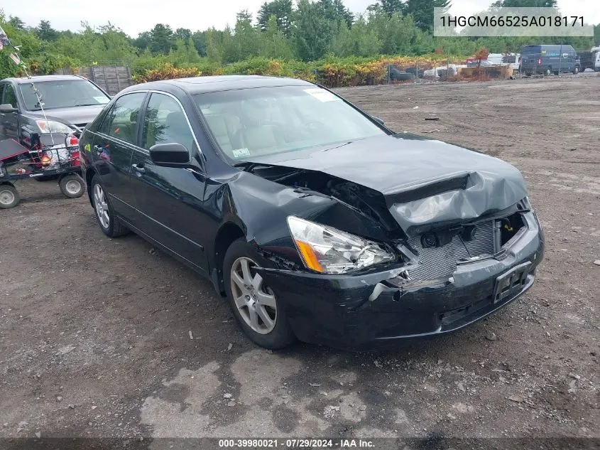 1HGCM66525A018171 2005 Honda Accord 3.0 Ex