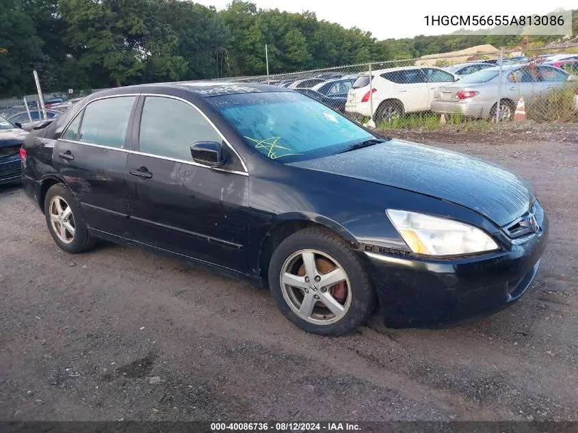 1HGCM56655A813086 2005 Honda Accord Sdn