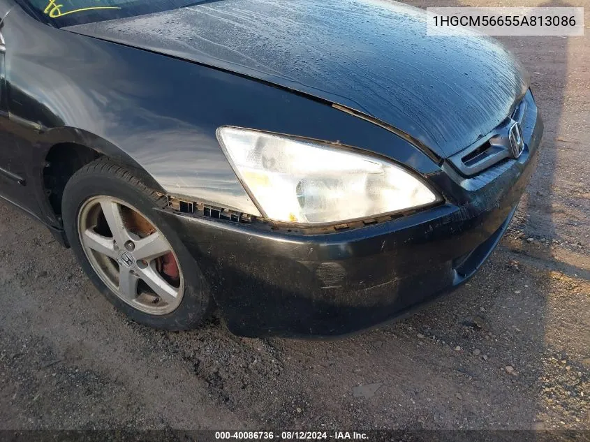 2005 Honda Accord Sdn VIN: 1HGCM56655A813086 Lot: 40086736