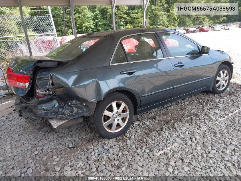 2005 Honda Accord Ex VIN: 1HGCM66575A038593 Lot: 40166808