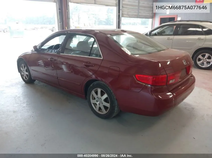 1HGCM66875A077646 2005 Honda Accord 3.0 Ex