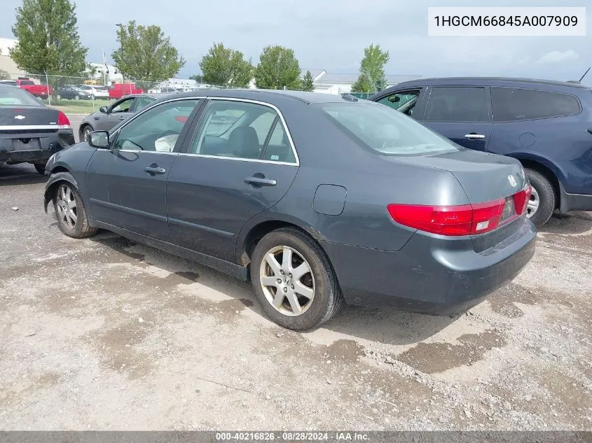 2005 Honda Accord 3.0 Ex VIN: 1HGCM66845A007909 Lot: 40216826