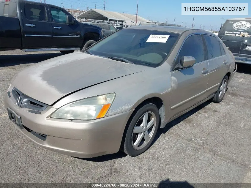 2005 Honda Accord 2.4 Ex VIN: 1HGCM56855A103767 Lot: 40224766