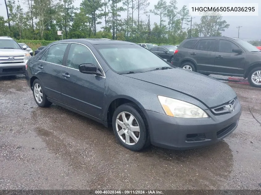 1HGCM66505A036295 2005 Honda Accord Ex