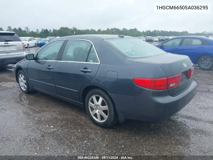 1HGCM66505A036295 2005 Honda Accord Ex