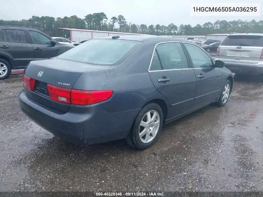 2005 Honda Accord Ex VIN: 1HGCM66505A036295 Lot: 40328346