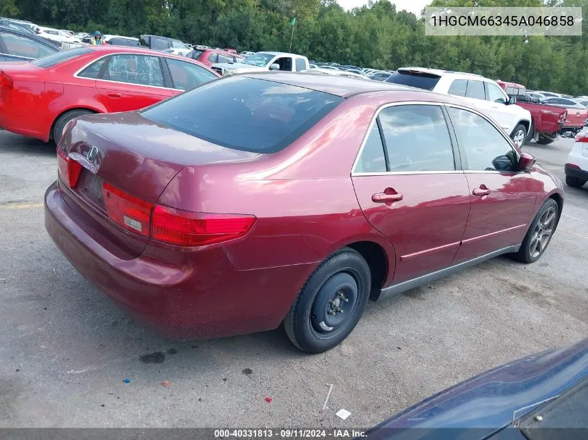 2005 Honda Accord 3.0 Lx VIN: 1HGCM66345A046858 Lot: 40331813