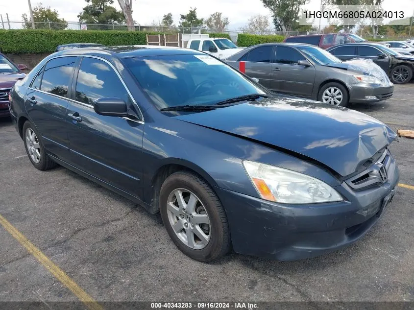 2005 Honda Accord 3.0 Ex VIN: 1HGCM66805A024013 Lot: 40343283