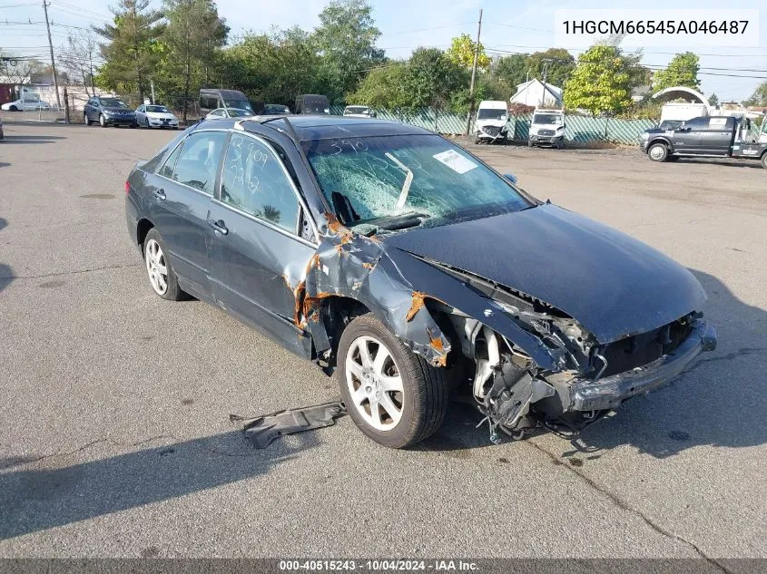 2005 Honda Accord 3.0 Ex VIN: 1HGCM66545A046487 Lot: 40515243