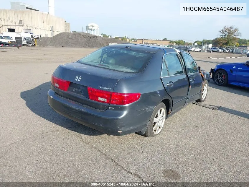 2005 Honda Accord 3.0 Ex VIN: 1HGCM66545A046487 Lot: 40515243