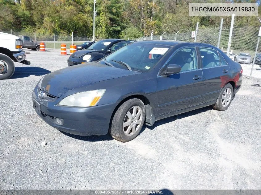 2005 Honda Accord 3.0 Ex VIN: 1HGCM665X5A019830 Lot: 40579617