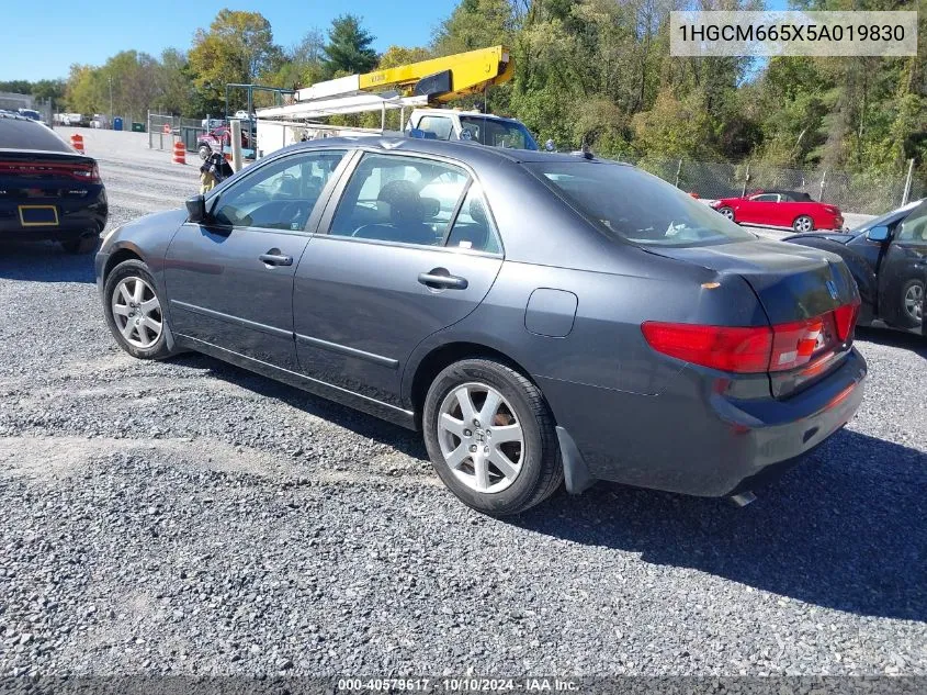 2005 Honda Accord 3.0 Ex VIN: 1HGCM665X5A019830 Lot: 40579617