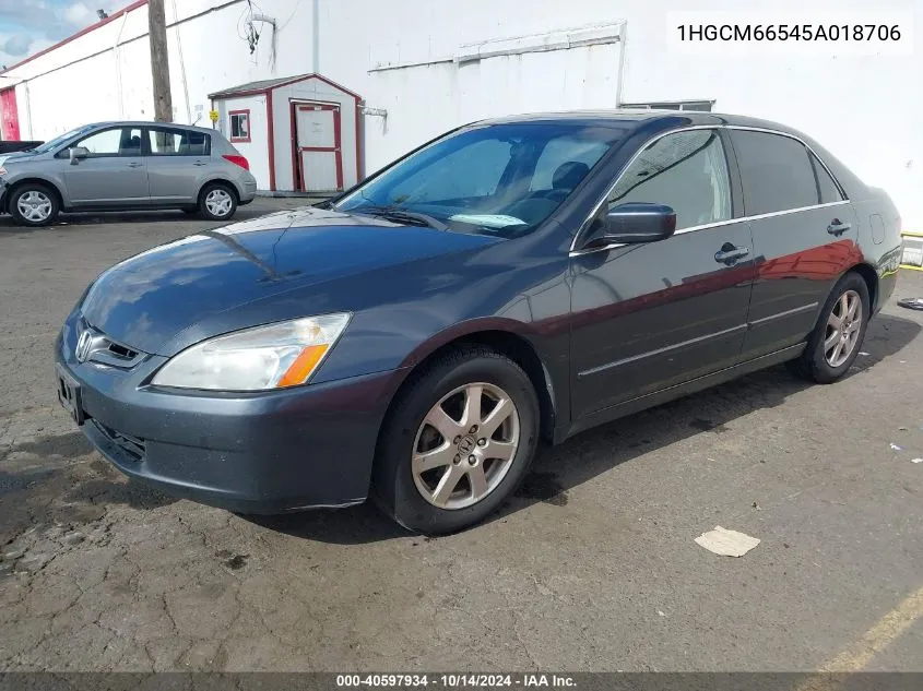 2005 Honda Accord 3.0 Ex VIN: 1HGCM66545A018706 Lot: 40597934