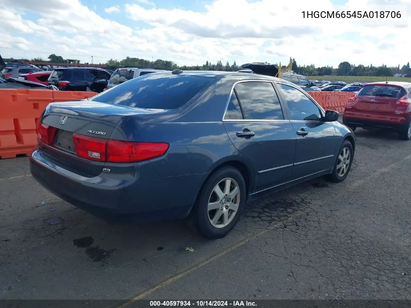 2005 Honda Accord 3.0 Ex VIN: 1HGCM66545A018706 Lot: 40597934