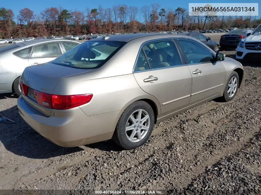 2005 Honda Accord 3.0 Ex VIN: 1HGCM66565A031344 Lot: 40756824