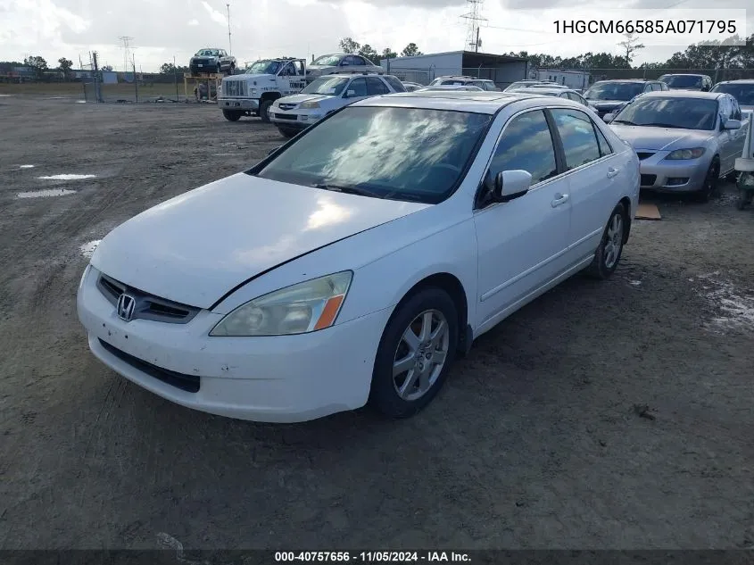 2005 Honda Accord 3.0 Ex VIN: 1HGCM66585A071795 Lot: 40757656