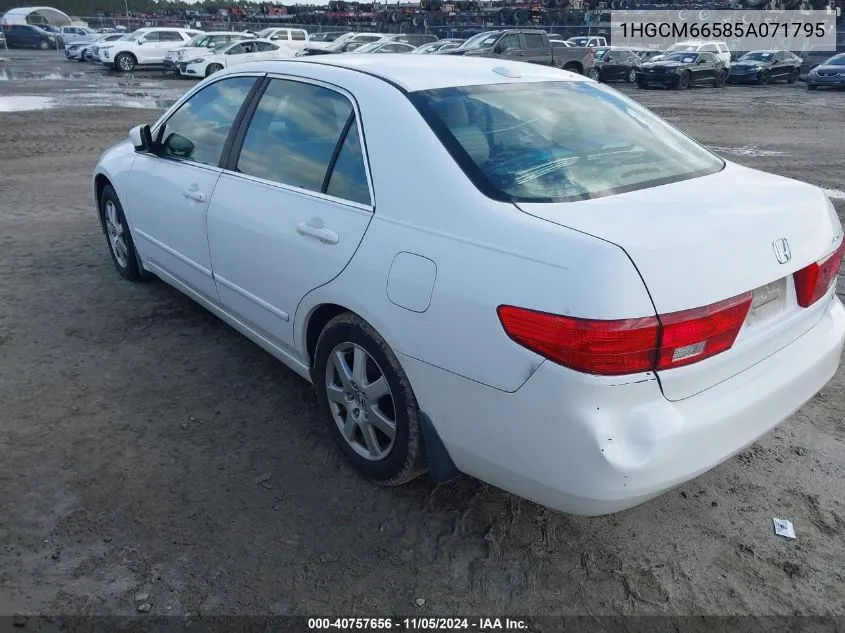 2005 Honda Accord 3.0 Ex VIN: 1HGCM66585A071795 Lot: 40757656