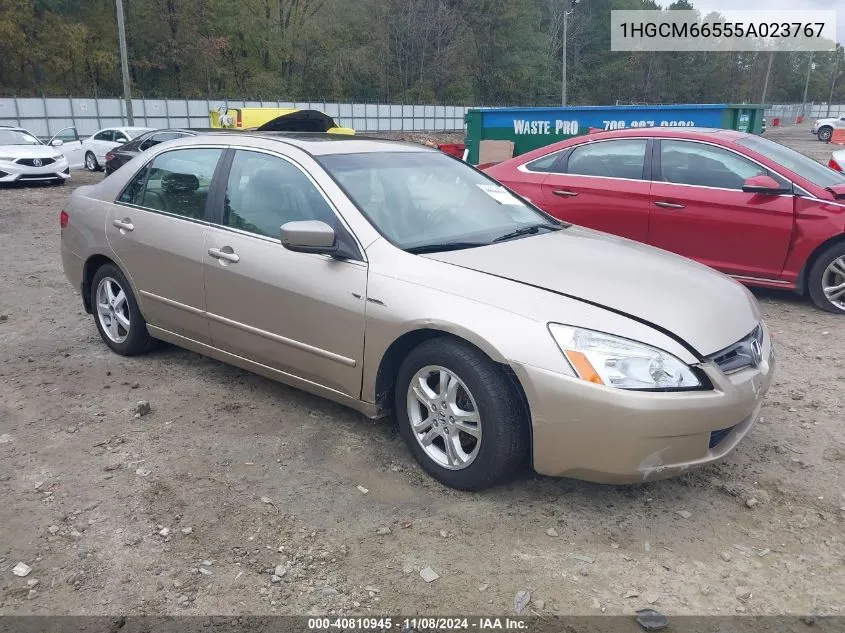 2005 Honda Accord 3.0 Ex VIN: 1HGCM66555A023767 Lot: 40810945