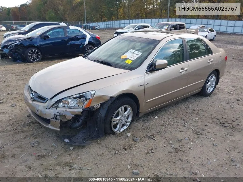 2005 Honda Accord 3.0 Ex VIN: 1HGCM66555A023767 Lot: 40810945